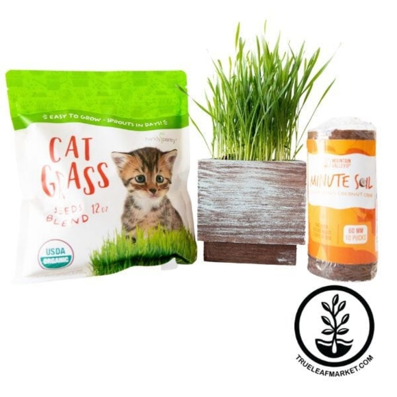 NEW IN BOX Deluxe Cat Grass Kit - With Wooden Planter - Picture 1 of 7